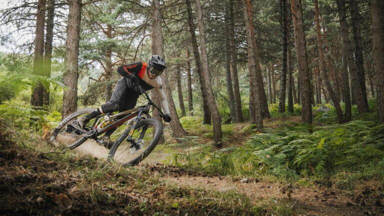 Fietsverhuur Lage Vuursche – Theehuis