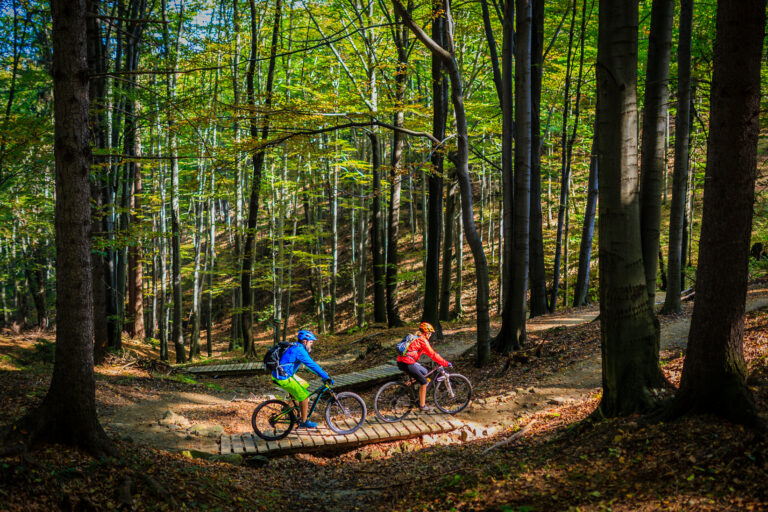 Fietsverhuur Lage Vuursche – De Zevenlinden